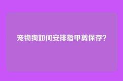 宠物狗如何安排指甲剪保存？