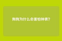 狗狗为什么会害怕钟表？