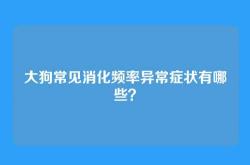 大狗常见消化频率异常症状有哪些？