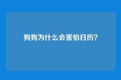 狗狗为什么会害怕日历？