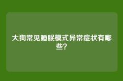 大狗常见睡眠模式异常症状有哪些？