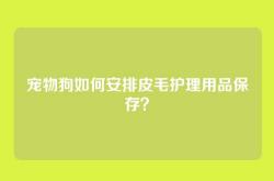 宠物狗如何安排皮毛护理用品保存？