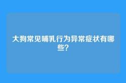 大狗常见哺乳行为异常症状有哪些？
