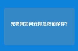 宠物狗如何安排急救箱保存？