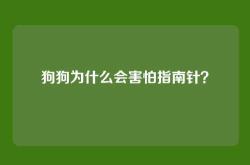 狗狗为什么会害怕指南针？