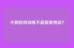 小狗如何训练不追摇晃物品？