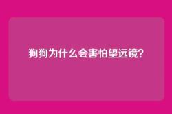 狗狗为什么会害怕望远镜？
