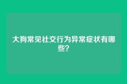 大狗常见社交行为异常症状有哪些？