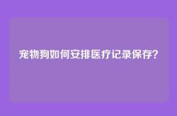 宠物狗如何安排医疗记录保存？