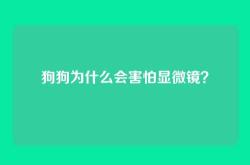 狗狗为什么会害怕显微镜？