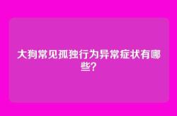 大狗常见孤独行为异常症状有哪些？