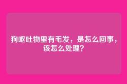 狗呕吐物里有毛发，是怎么回事，该怎么处理？