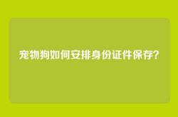 宠物狗如何安排身份证件保存？