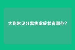 大狗常见分离焦虑症状有哪些？