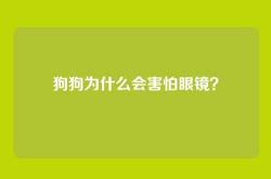 狗狗为什么会害怕眼镜？