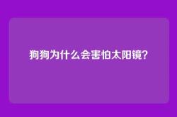 狗狗为什么会害怕太阳镜？