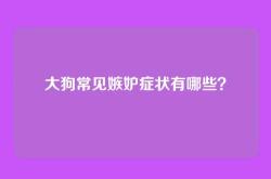 大狗常见嫉妒症状有哪些？