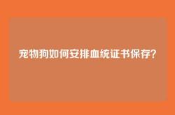 宠物狗如何安排血统证书保存？