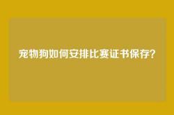 宠物狗如何安排比赛证书保存？