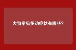 大狗常见多动症状有哪些？