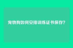 宠物狗如何安排训练证书保存？
