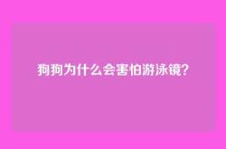 狗狗为什么会害怕游泳镜？