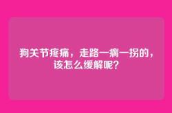 狗关节疼痛，走路一瘸一拐的，该怎么缓解呢？