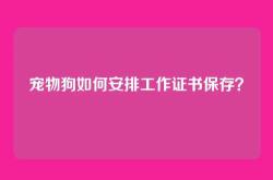 宠物狗如何安排工作证书保存？