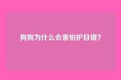 狗狗为什么会害怕护目镜？