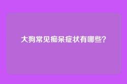 大狗常见痴呆症状有哪些？