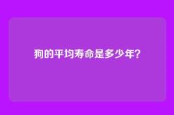 狗的平均寿命是多少年？