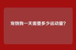 宠物狗一天需要多少运动量？