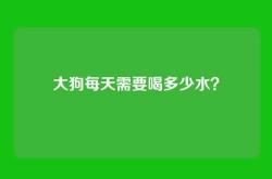 大狗每天需要喝多少水？
