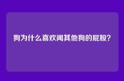 狗为什么喜欢闻其他狗的屁股？