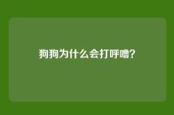狗狗为什么会打呼噜？