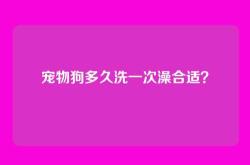 宠物狗多久洗一次澡合适？