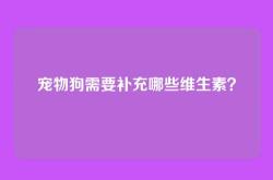 宠物狗需要补充哪些维生素？