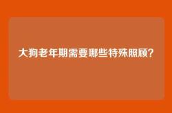 大狗老年期需要哪些特殊照顾？