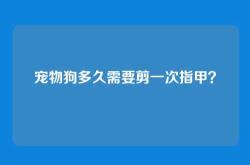 宠物狗多久需要剪一次指甲？
