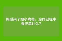 狗感染了细小病毒，治疗过程中要注意什么？