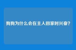 狗狗为什么会在主人回家时兴奋？