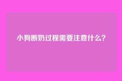 小狗断奶过程需要注意什么？