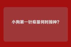 小狗第一针疫苗何时接种？