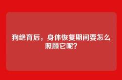 狗绝育后，身体恢复期间要怎么照顾它呢？