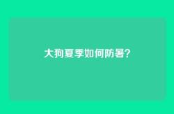 大狗夏季如何防暑？