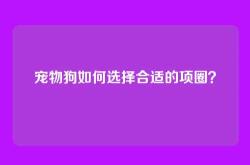 宠物狗如何选择合适的项圈？