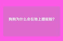 狗狗为什么会在地上蹭屁股？
