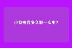 小狗需要多久驱一次虫？