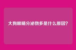 大狗眼睛分泌物多是什么原因？