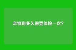 宠物狗多久需要体检一次？